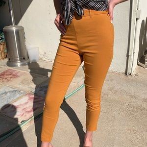 Mustard Yellow Pants